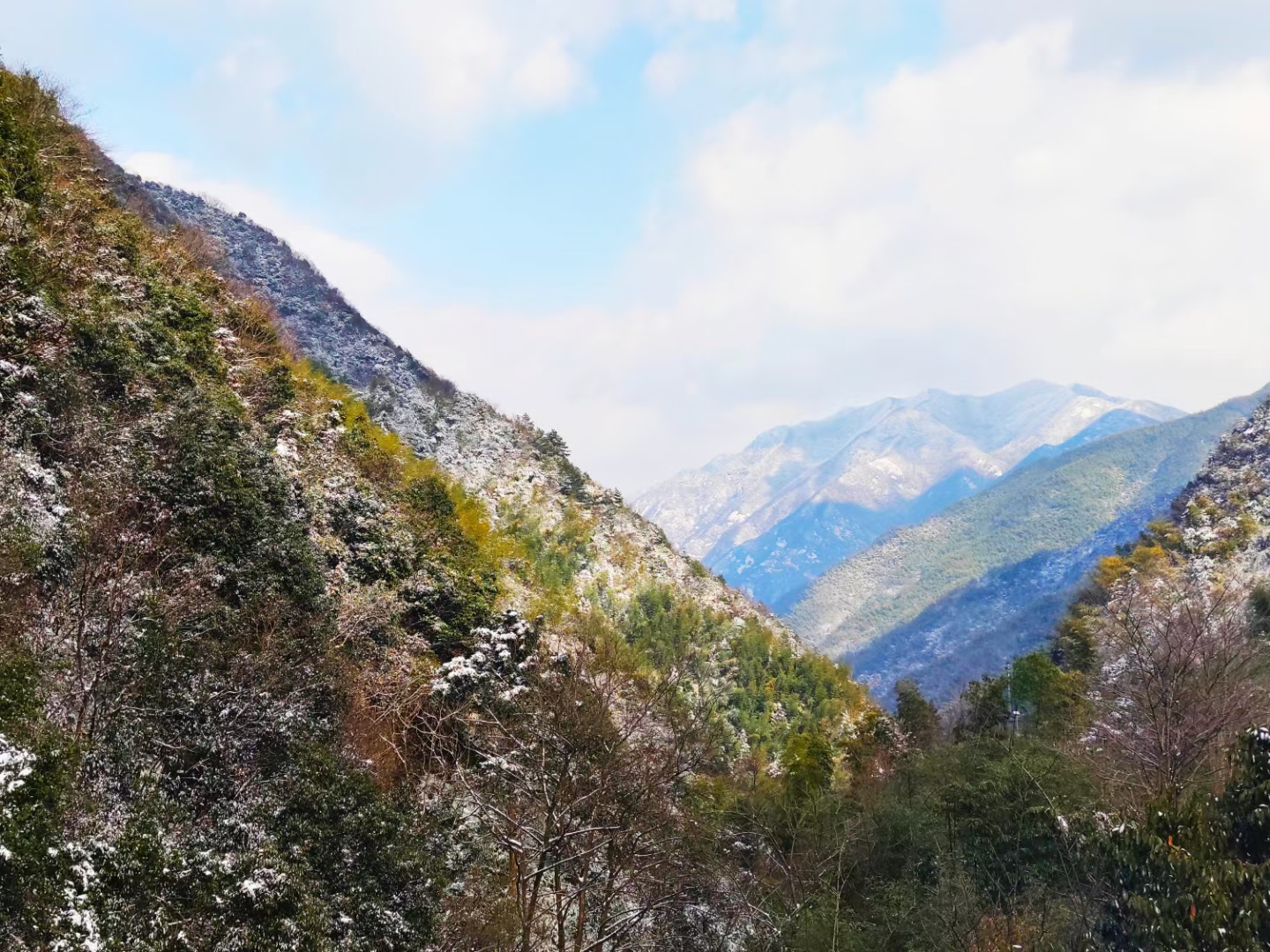 冬日雪景